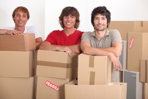 Accepted online payment methods for Man And A Van Chiswick