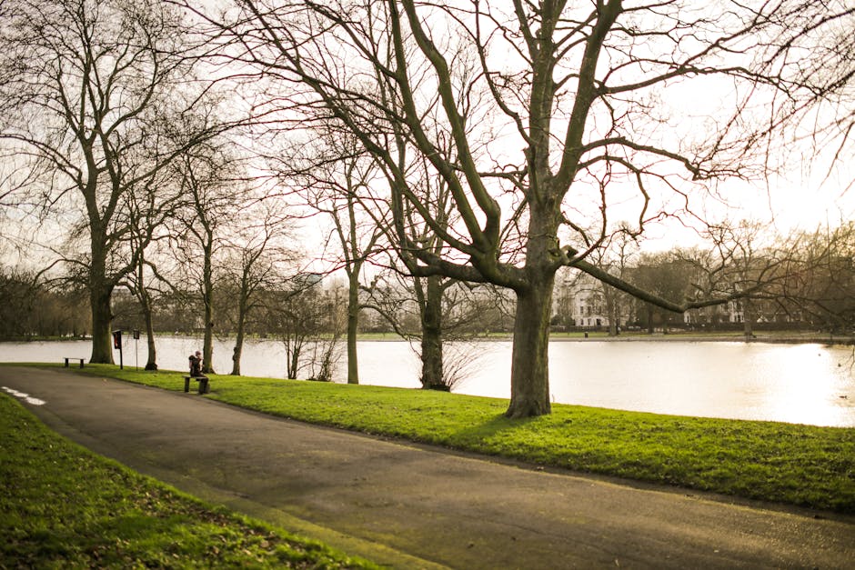 A paved pathway running alongside a body of water, possibly a river or lake, within a park setting during late autumn or winter. Several large, leafless trees with bare branches are positioned along t